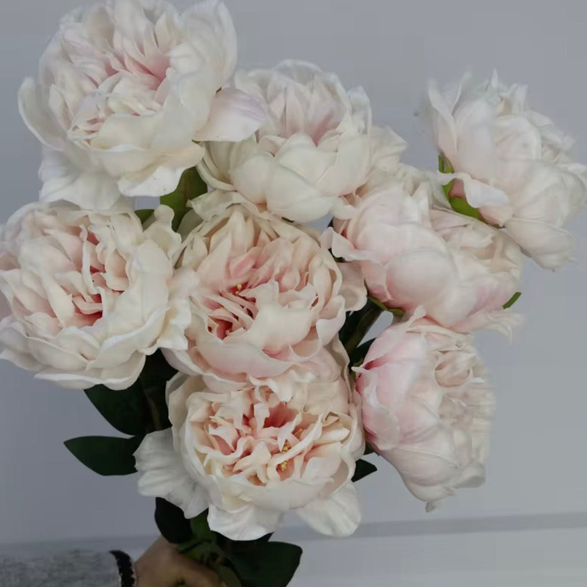 Everlasting Botanicals