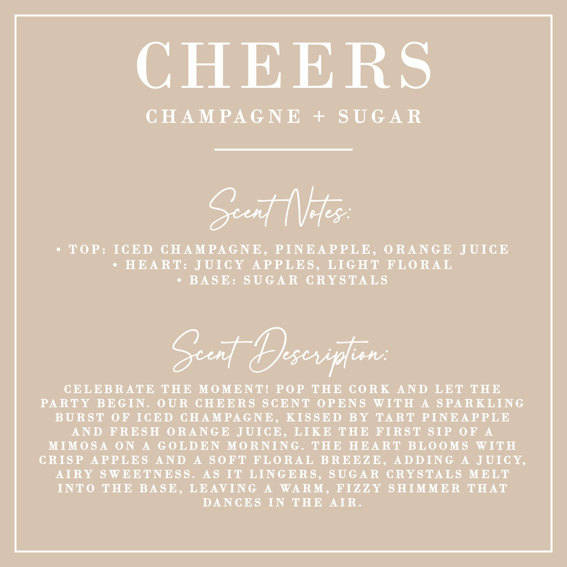 CHEERS | Champagne + Sugar | Everything Spray