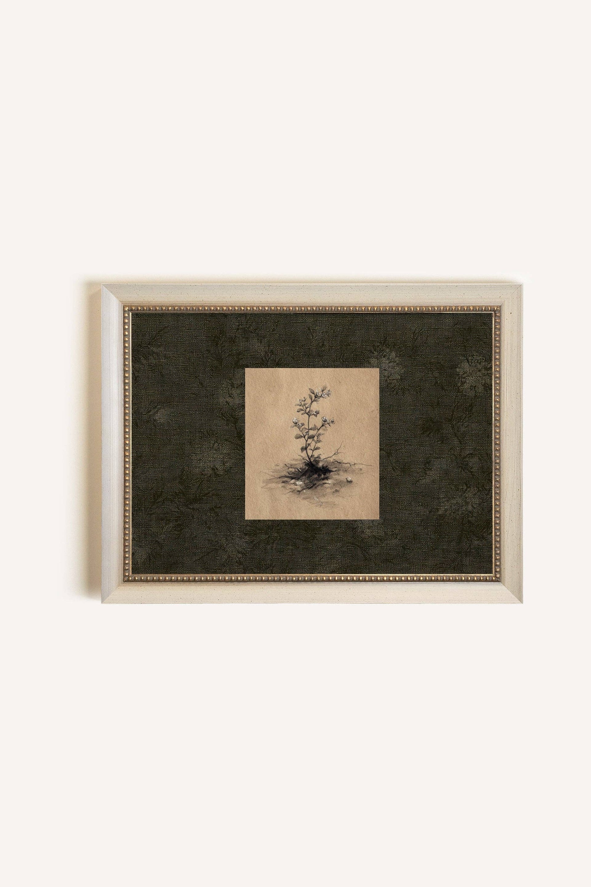 ÉVEIL DE LA TERRE, Oeuvre sur toile rigide, encadré Vintage Blanc