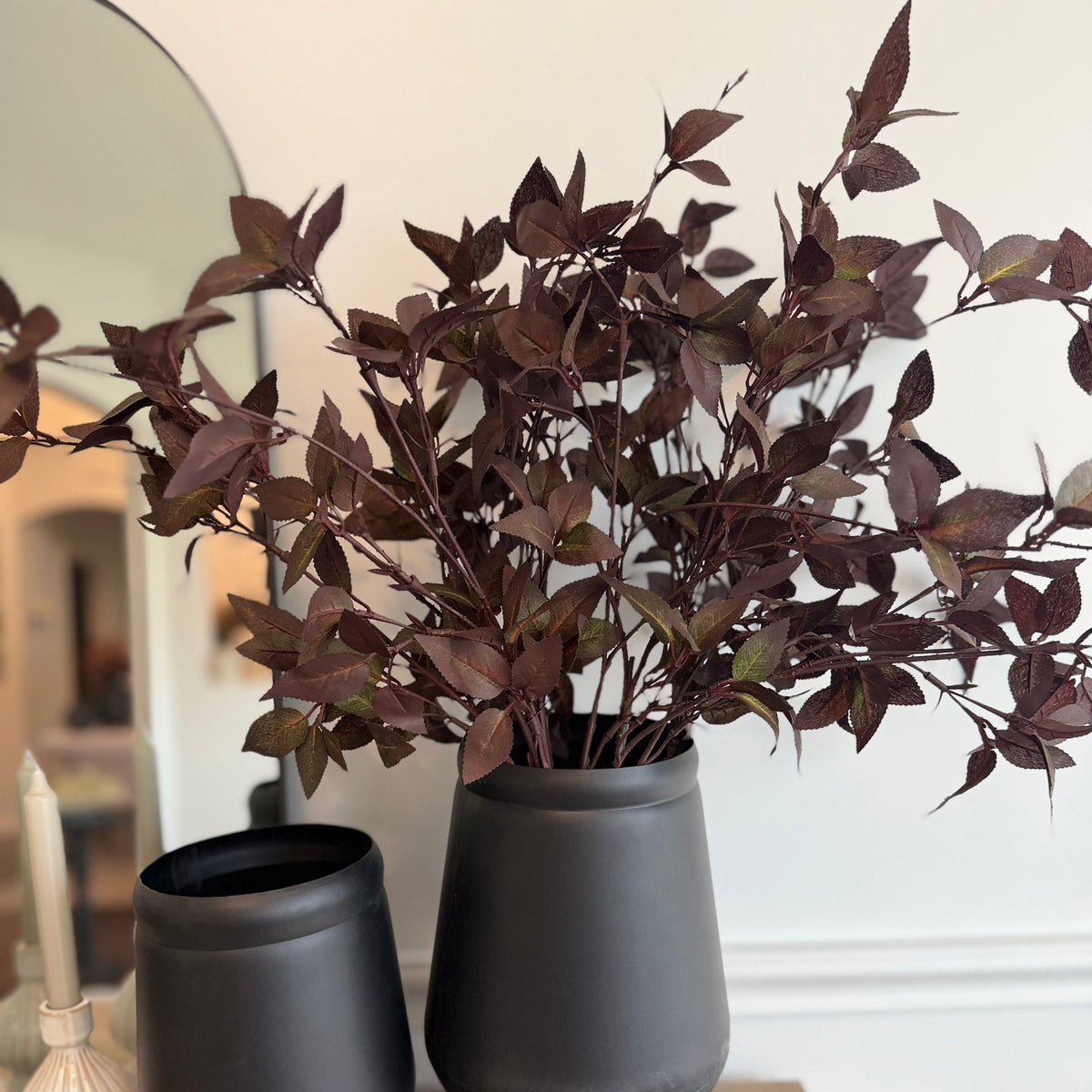 Fall Boxwood Stem