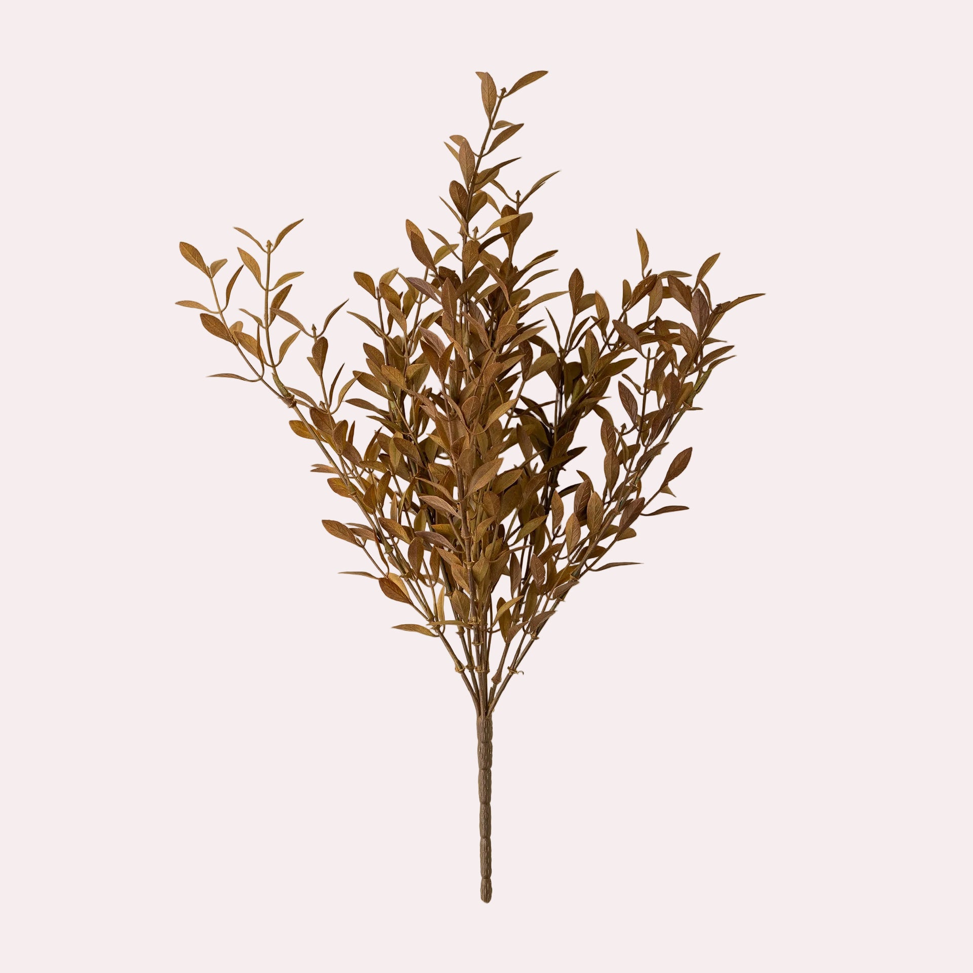 Willow Leaf Spray, Harvest