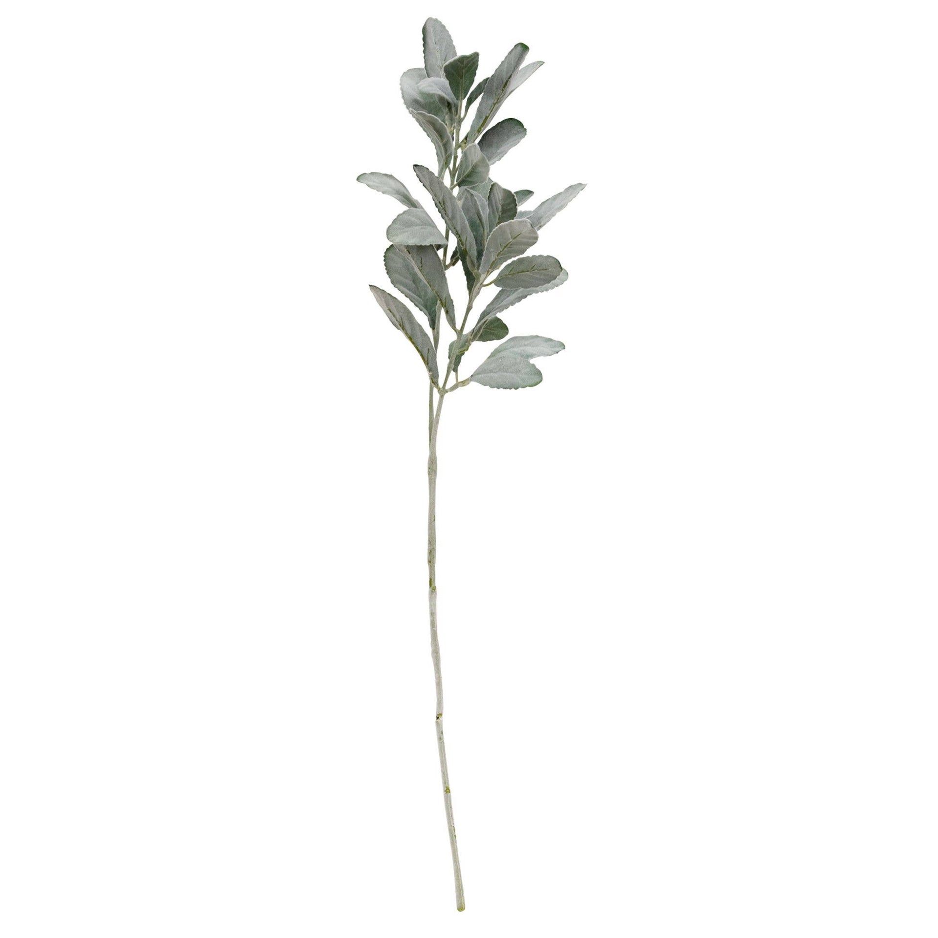 Frosted Lamb's Ear Spray