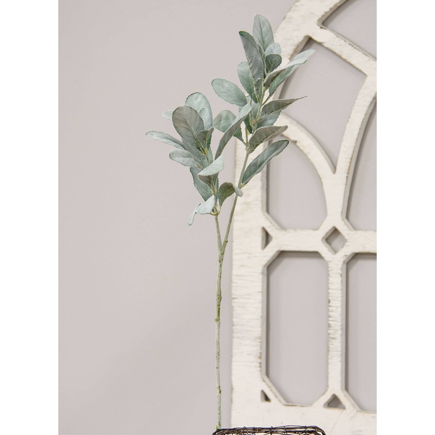 Frosted Lamb's Ear Spray