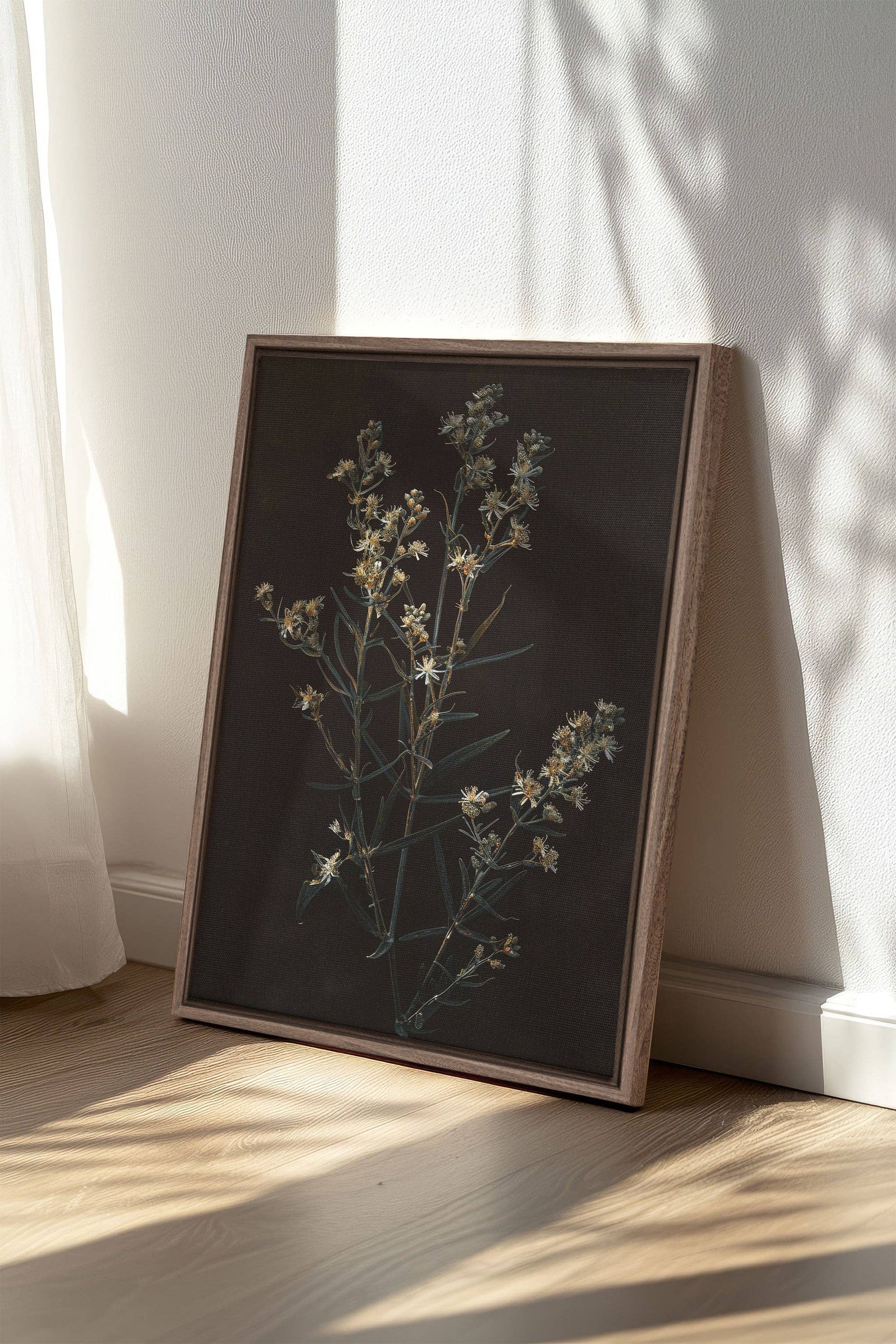 FLEUR D'ARGENT, , canvas wall art print