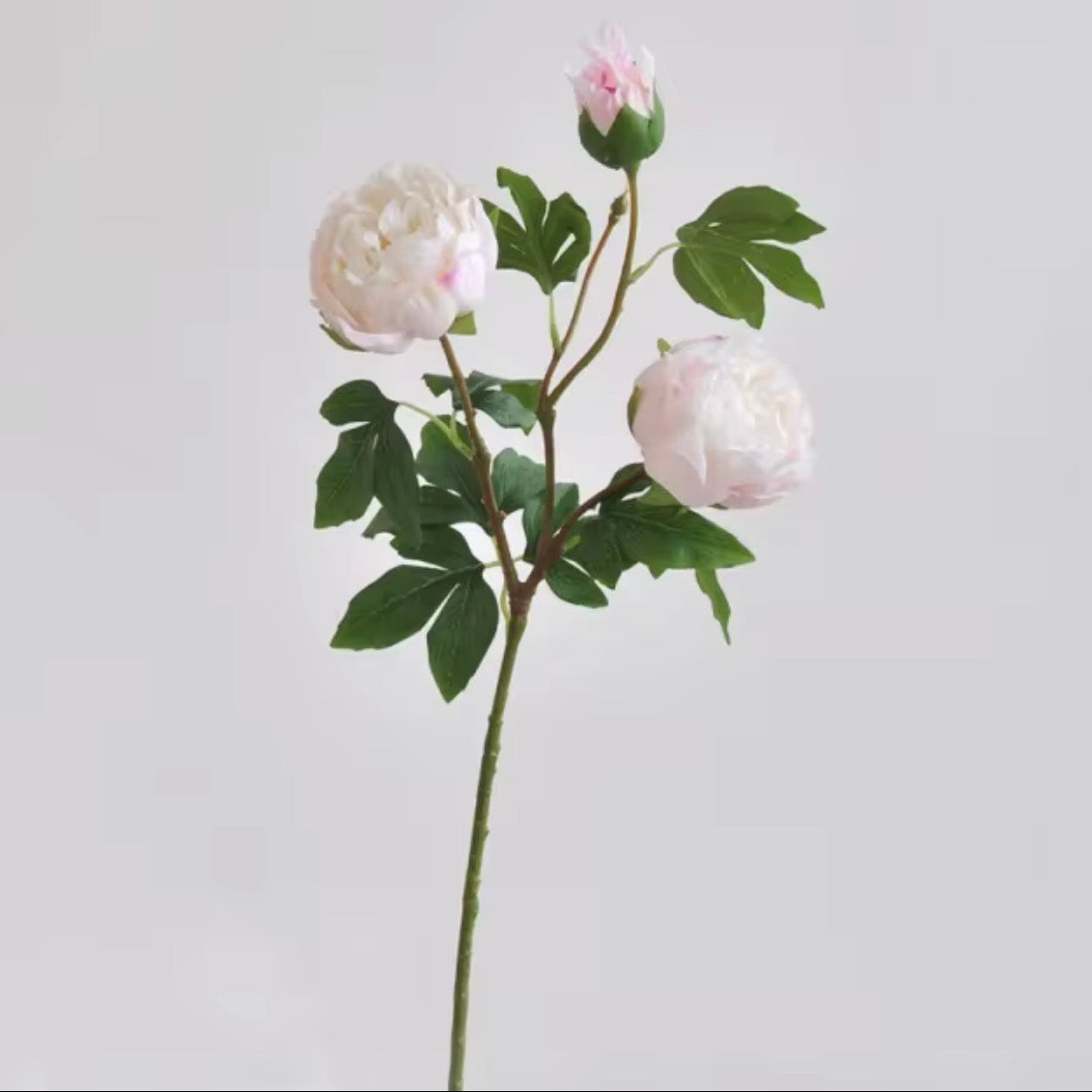 Real Touch 3 Head Peony Stem
