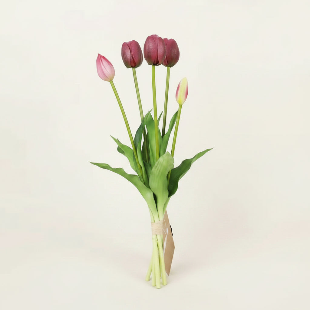 Tulip Bundle