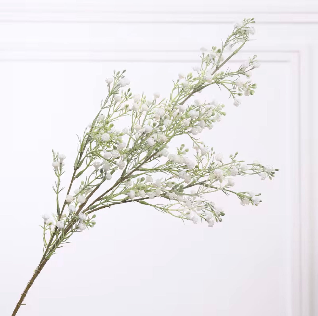 Baby’s Breath
