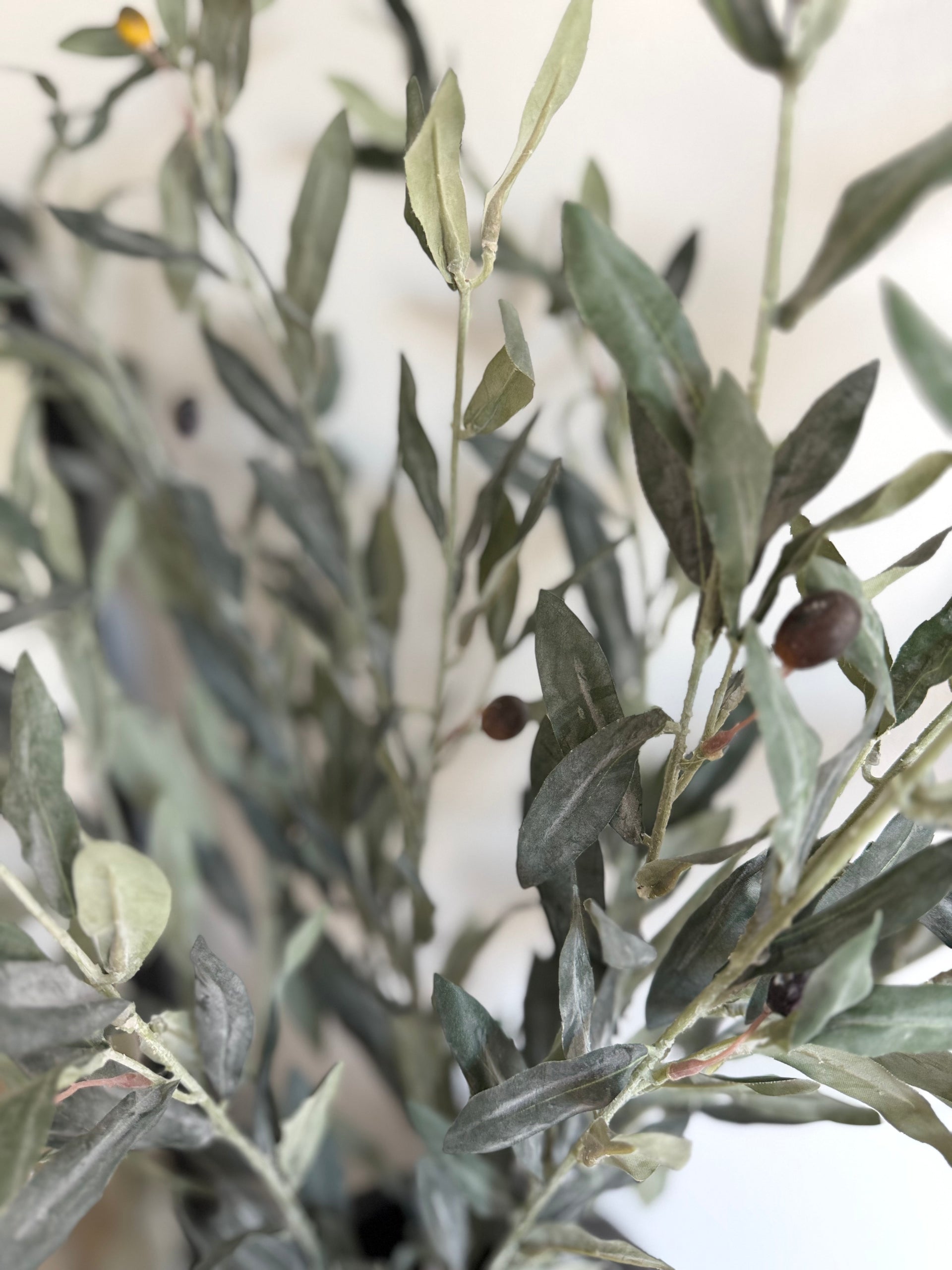 Tuscan Flocked Olive Stem