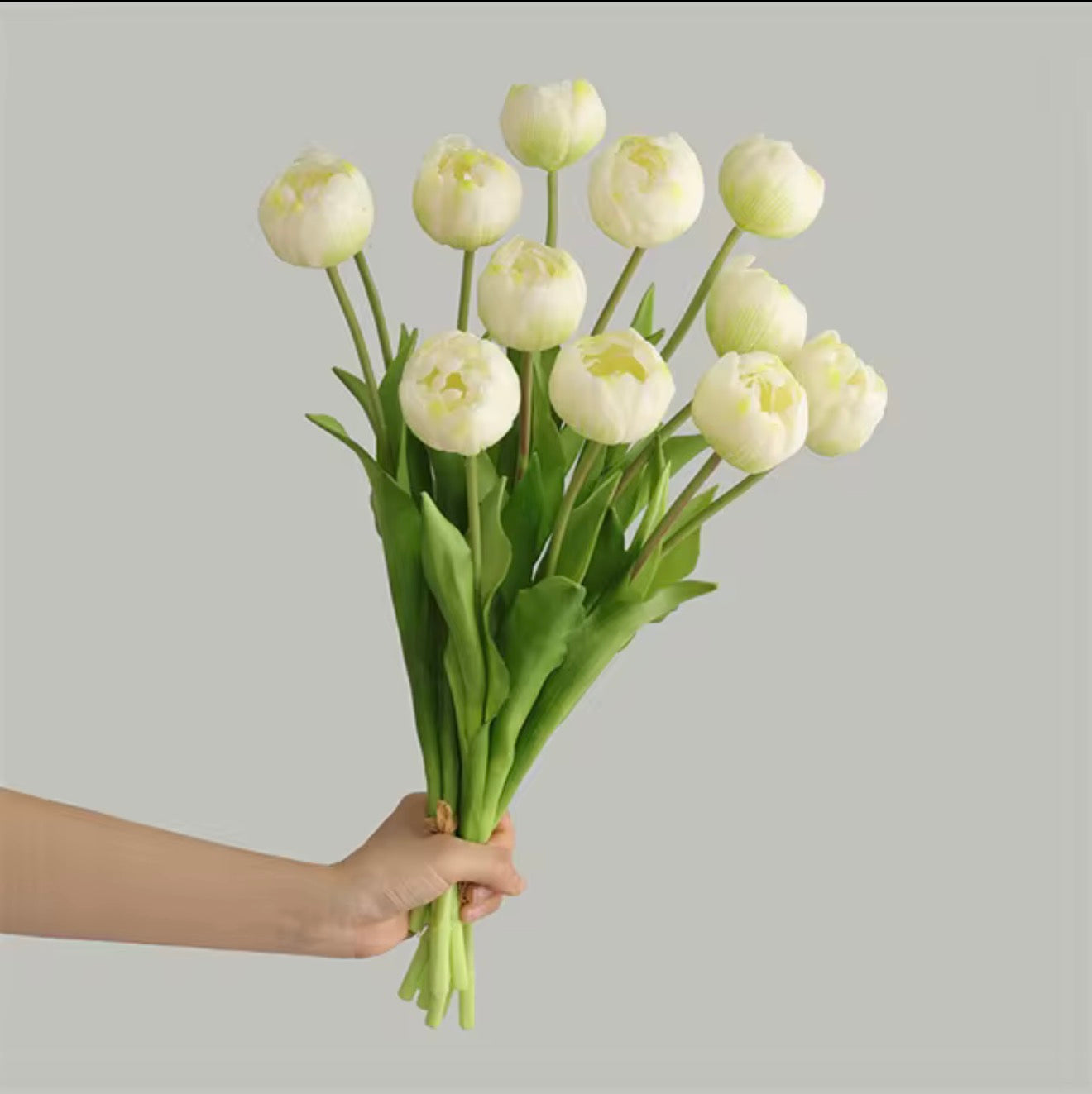 Peony Tulip