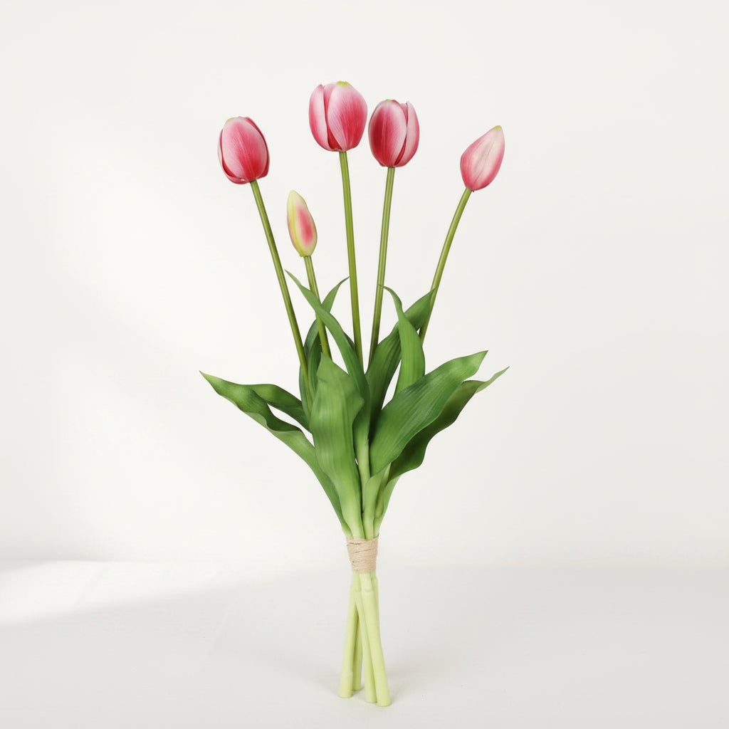 Tulip Bundle