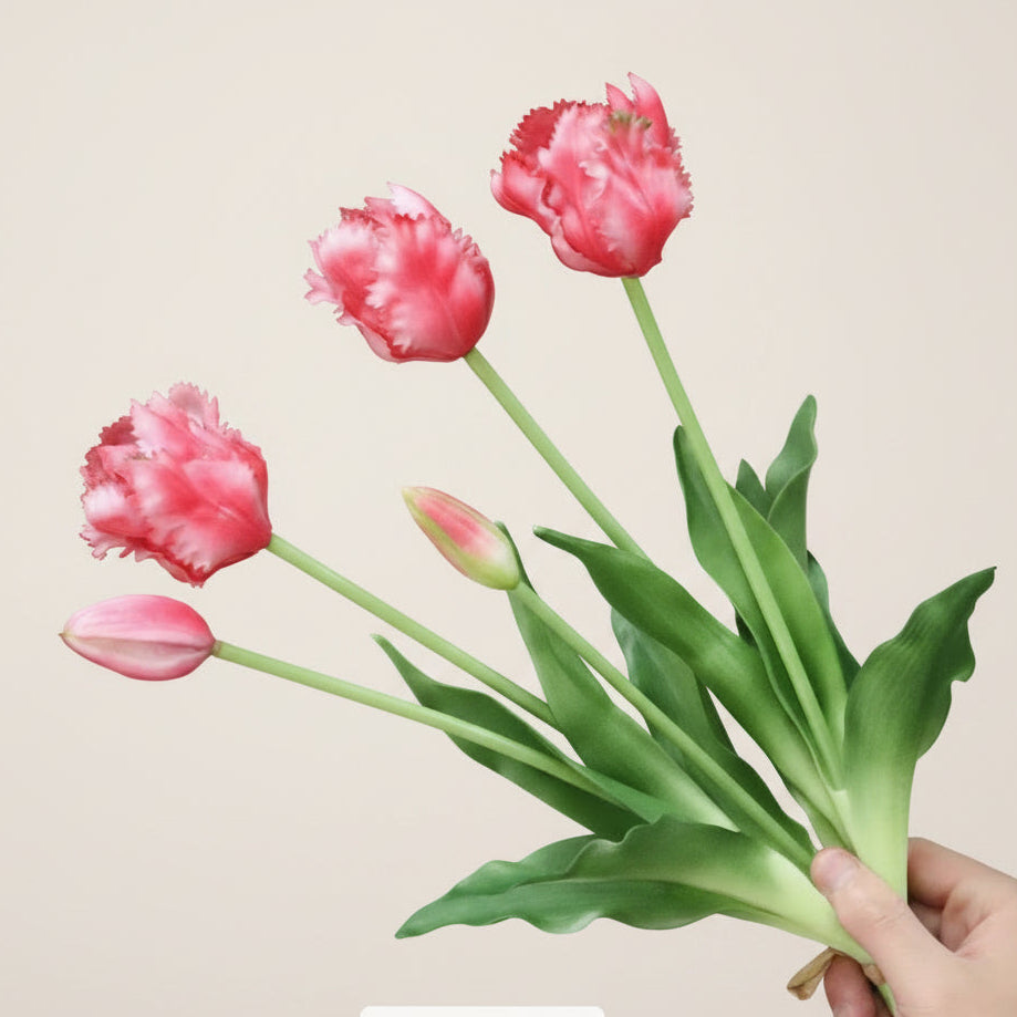 Ruffled Parrot Tulip
