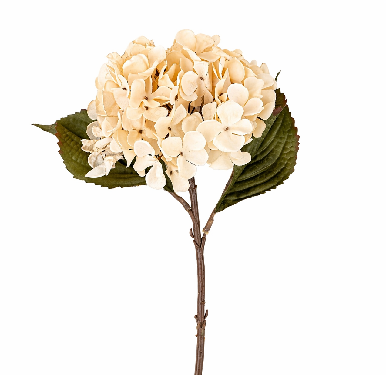 Heirloom Hydrangea Stem, White
