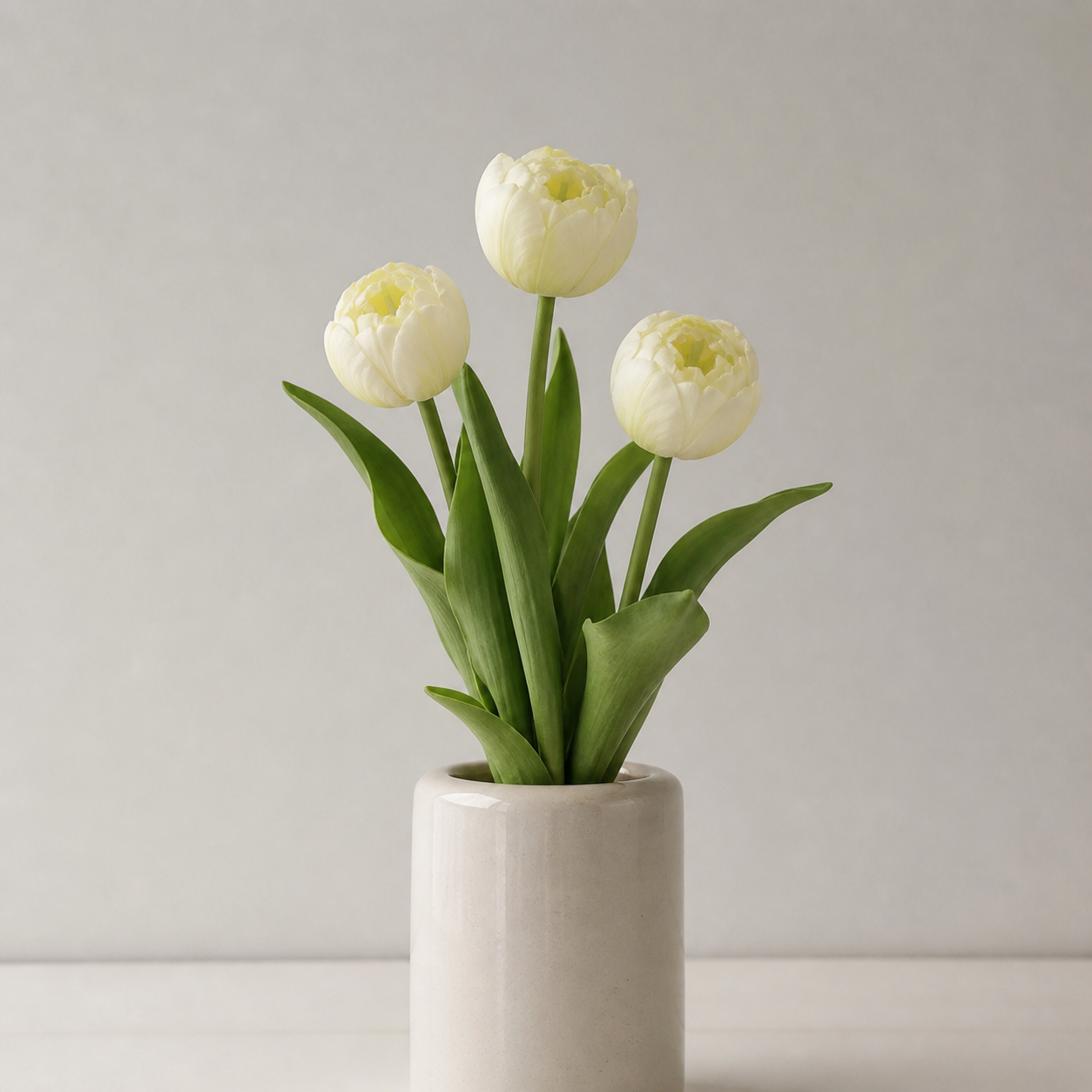 Peony Tulip