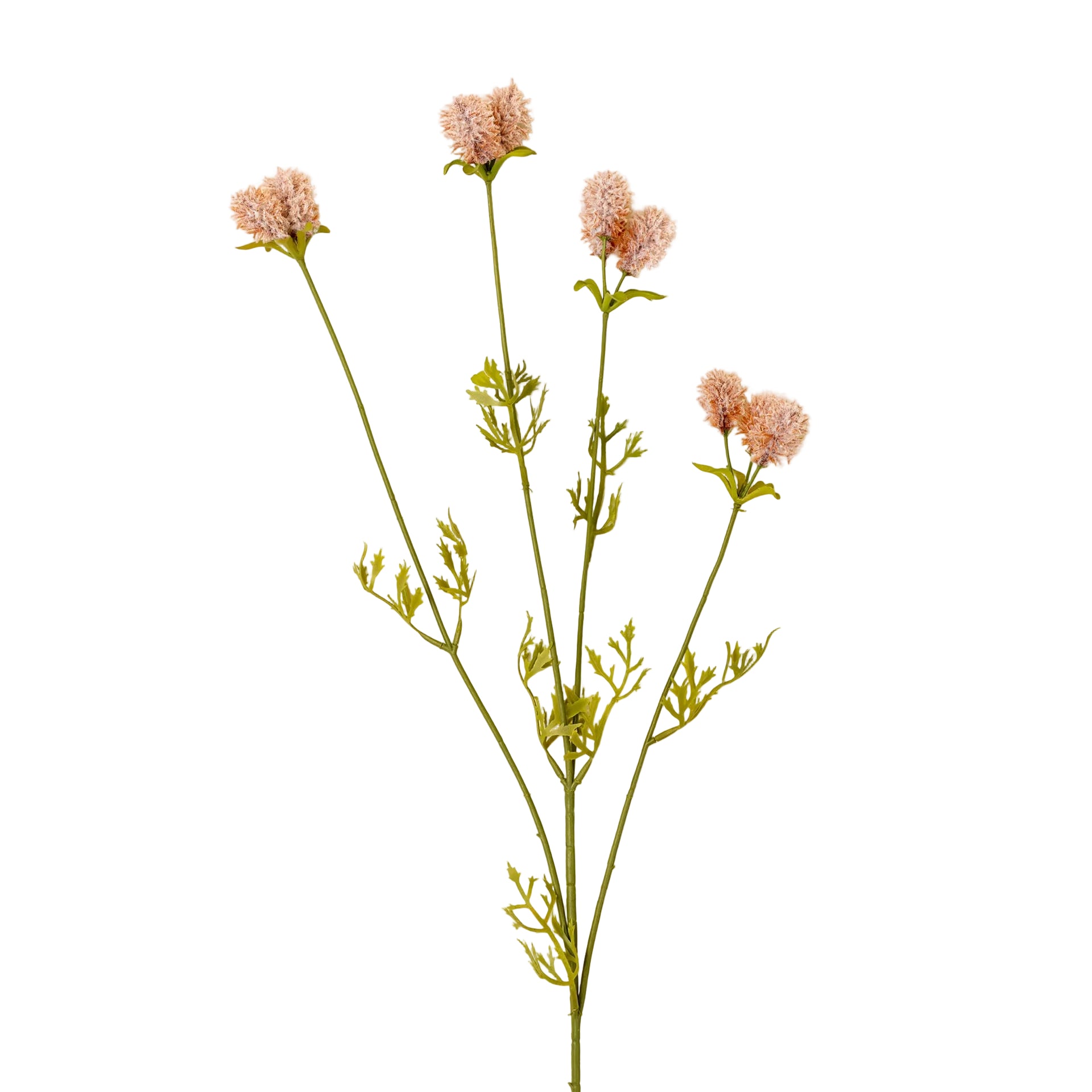 Dandelion Pom Pom Spray, Pink