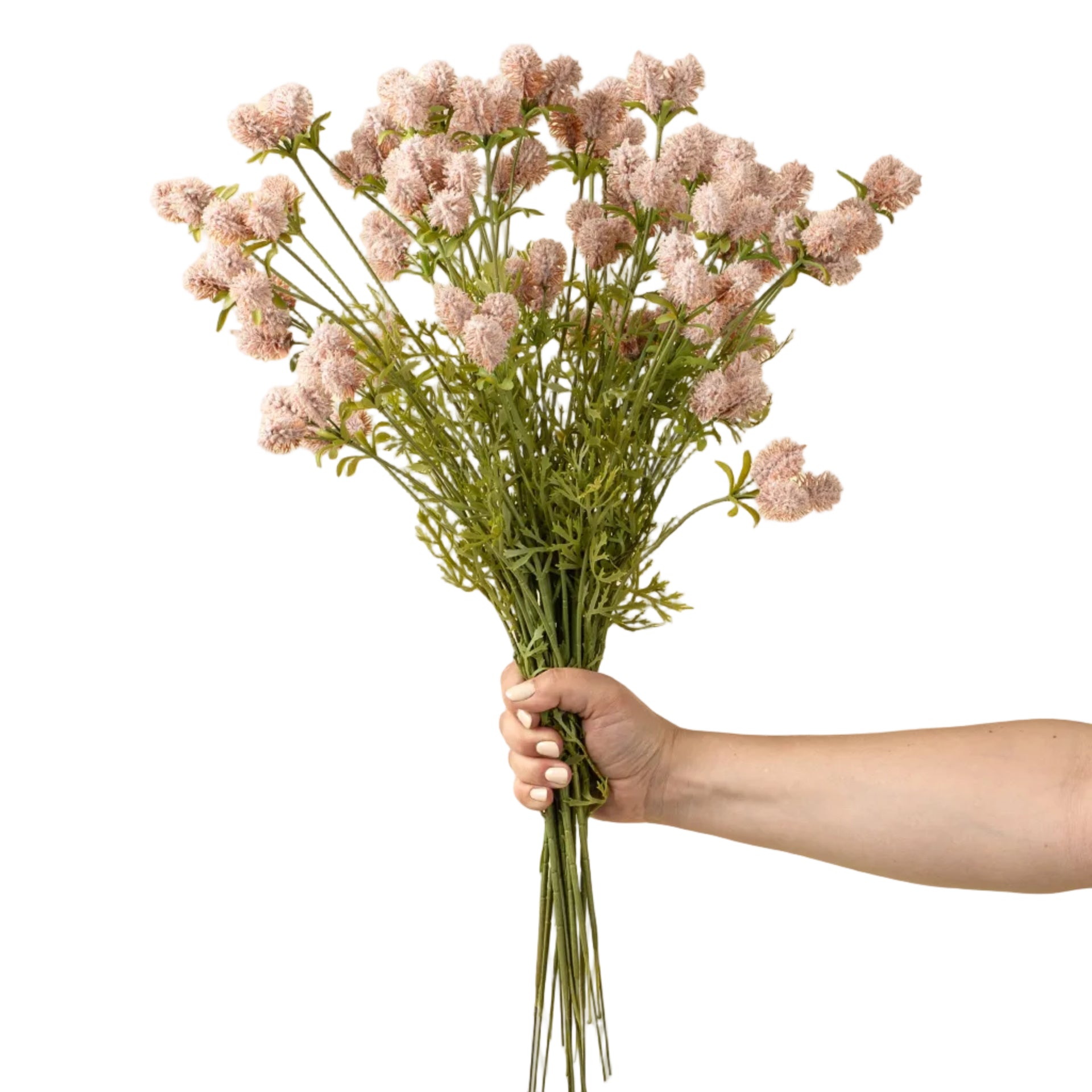 Dandelion Pom Pom Spray, Pink