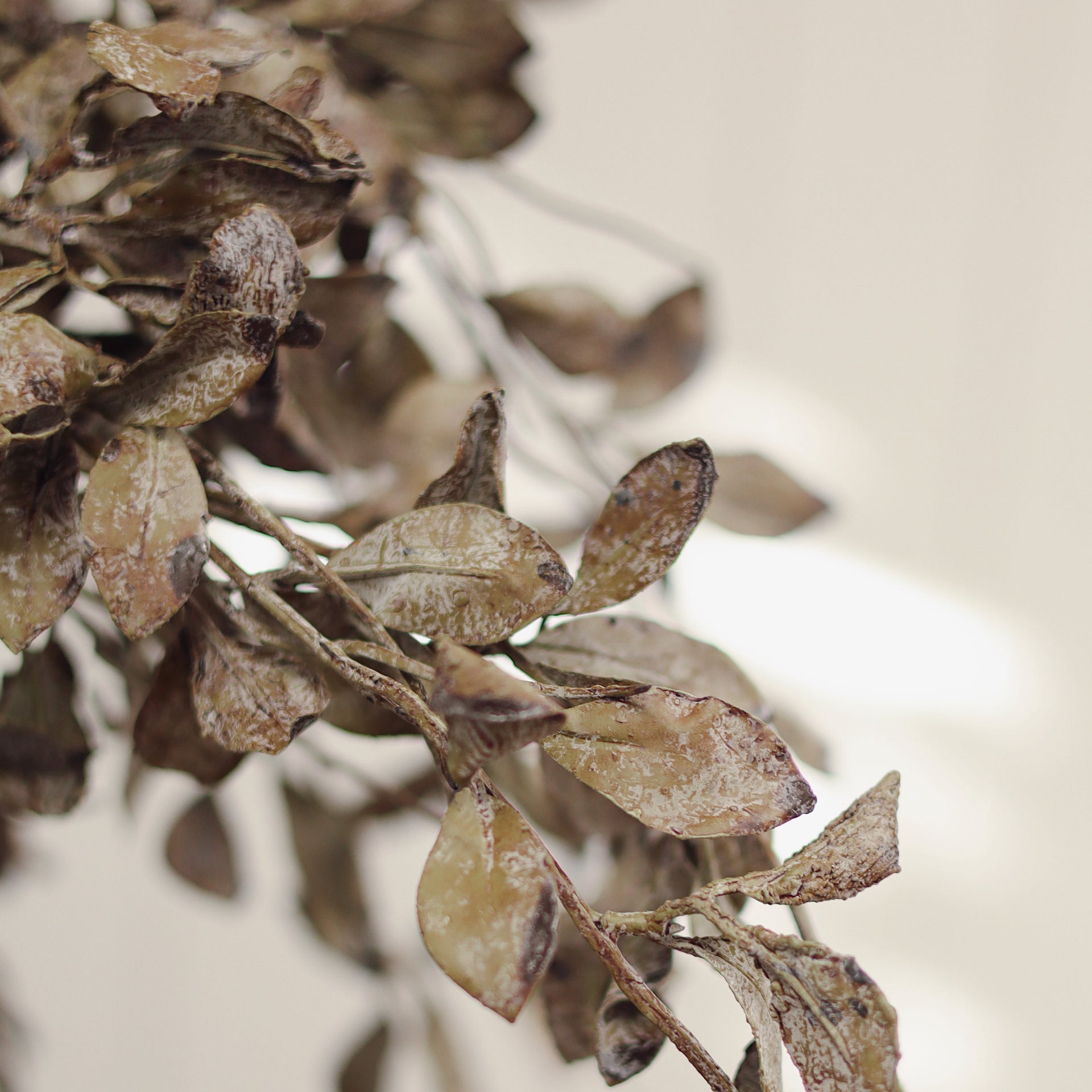 Smoked Eucalyptus Spray