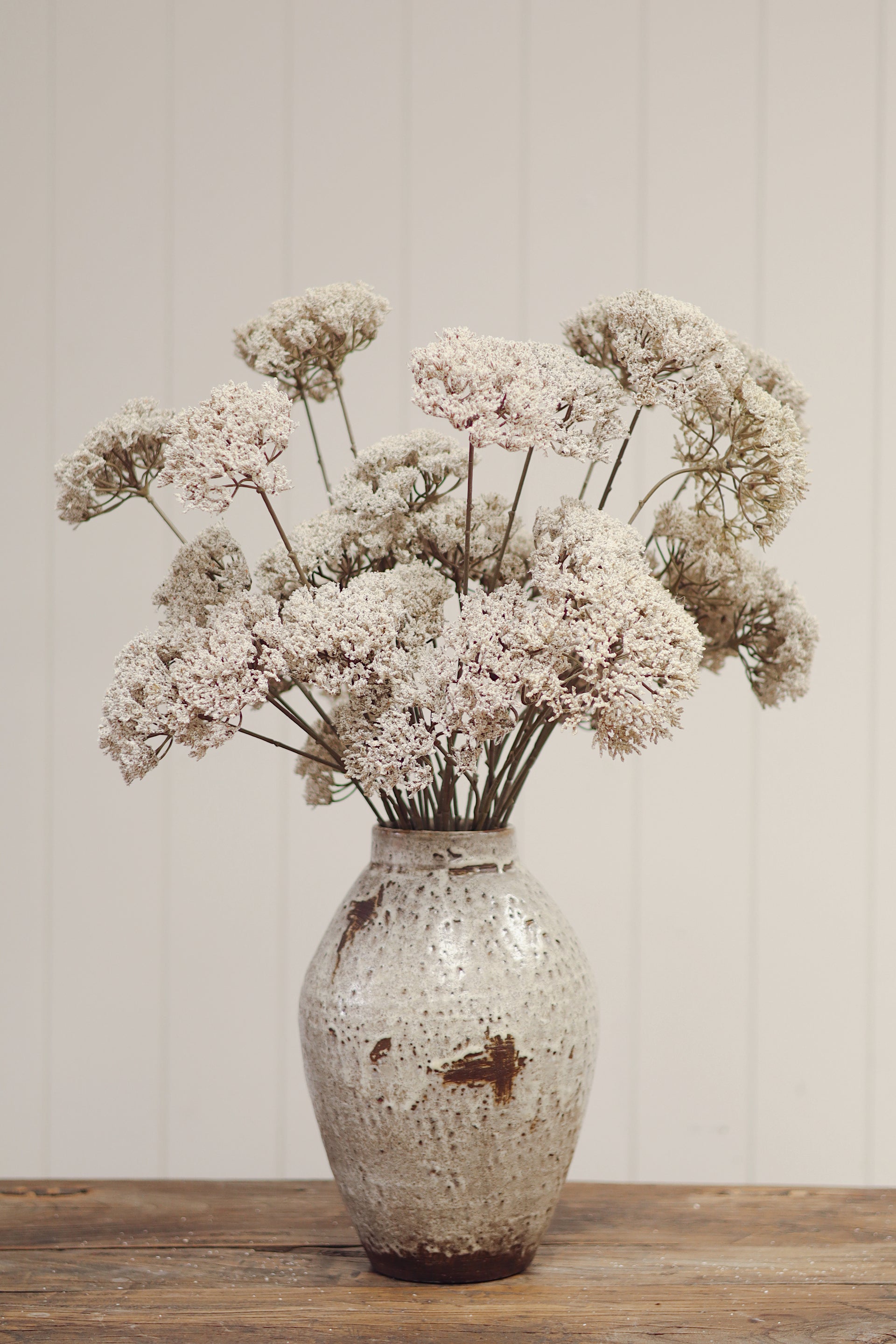 Queen Anne's Lace Spray